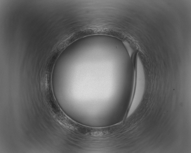 X0000082980740200702230033