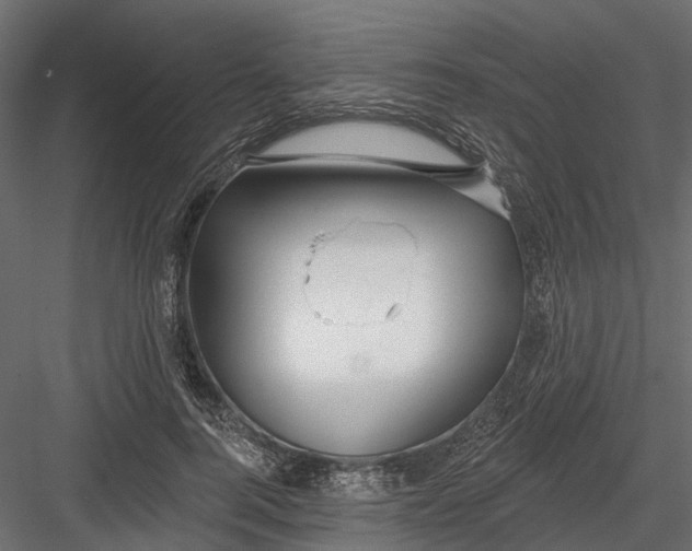 X0000082980744200702230033