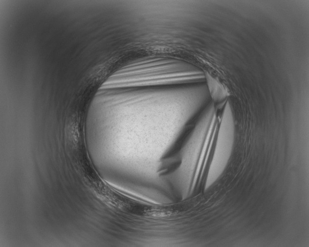 X0000082980746200702230033