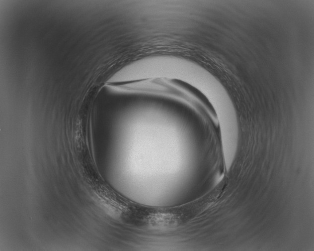X0000082980748200702230033