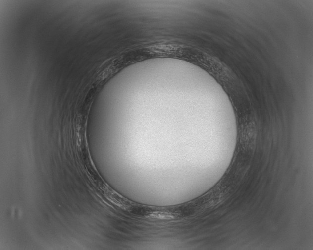 X0000082980749200702230033