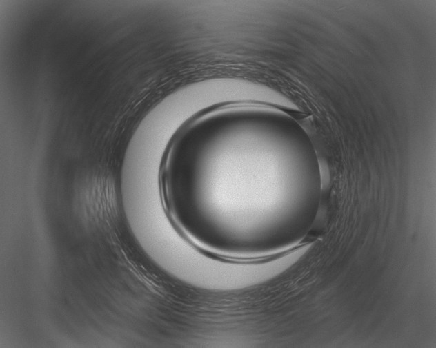 X0000082980750200702230033