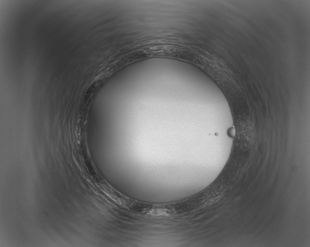 X0000082980751200702230033