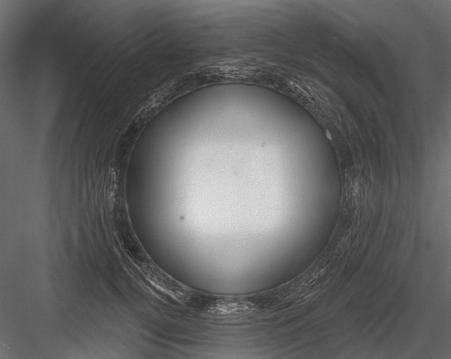 X0000082980752200702230033