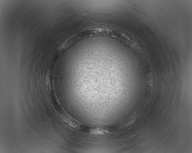 X0000082980754200702230033