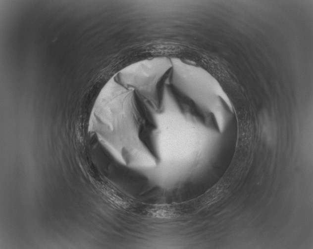 X0000082980755200702230033