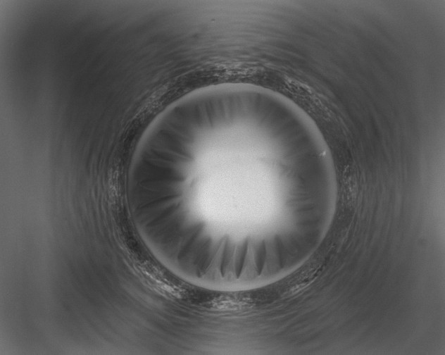 X0000082980756200702230033