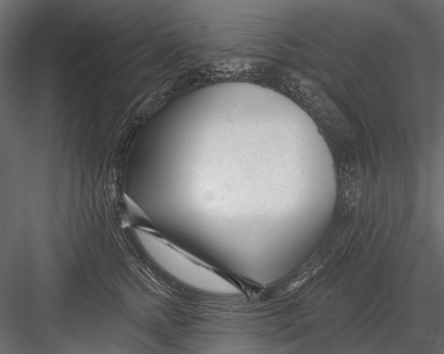 X0000082980758200702230033