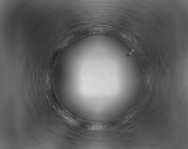 X0000082980759200702230033