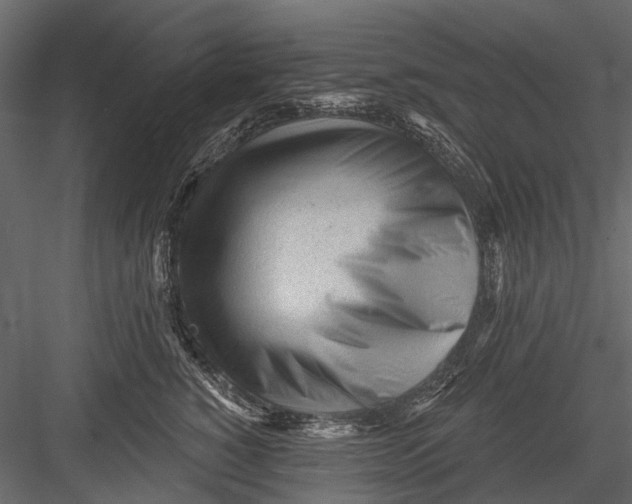 X0000082980760200702230033