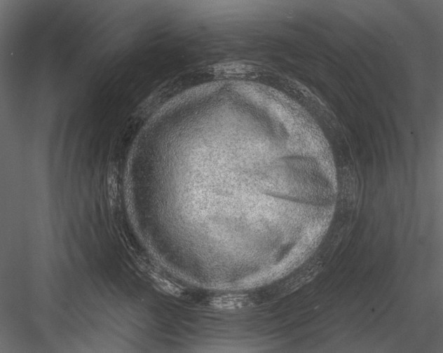 X0000082980761200702230033