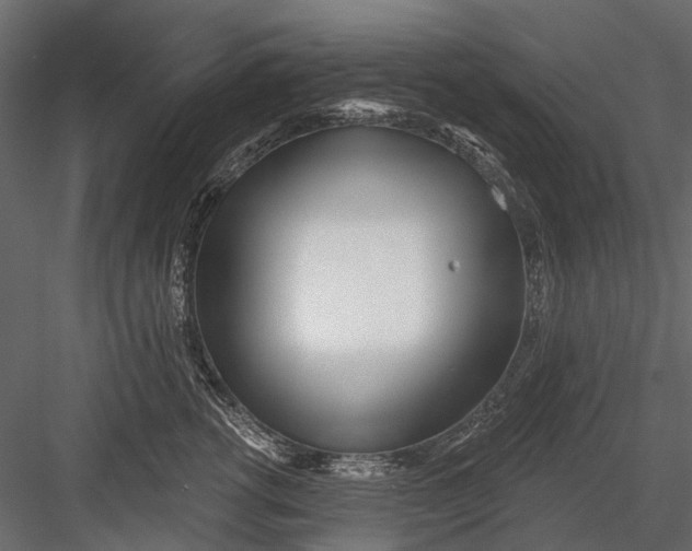 X0000082980762200702230033