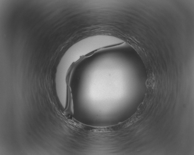 X0000082980763200702230033