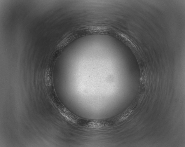 X0000082980764200702230033