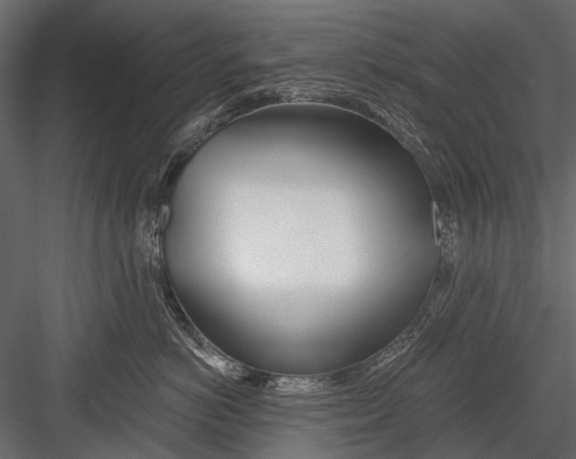 X0000082980766200702230033