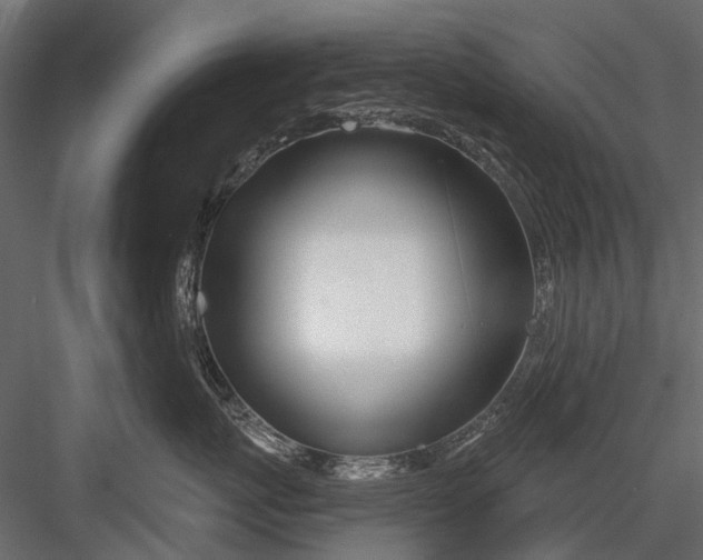 X0000082980767200702230033