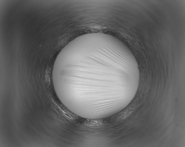 X0000082980768200702230033