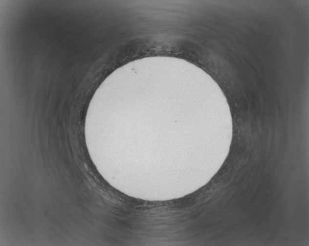 X0000082980769200702230032