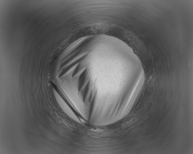 X0000082980772200702230032