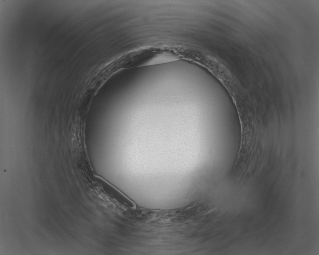 X0000082980773200702230032
