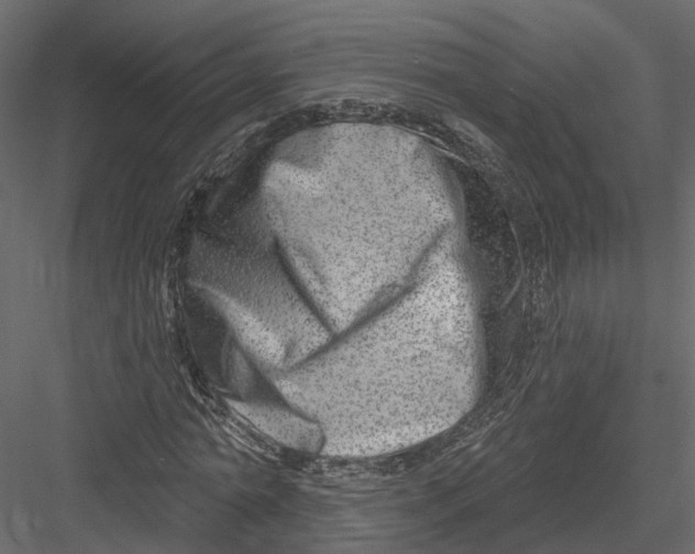 X0000082980774200702230032