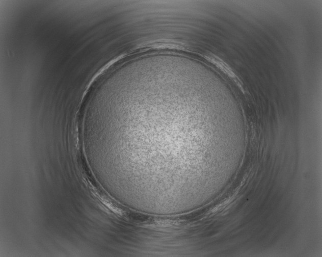 X0000082980782200702230032