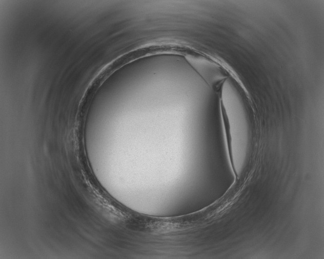 X0000082980783200702230032