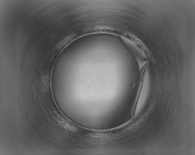X0000082980785200702230032