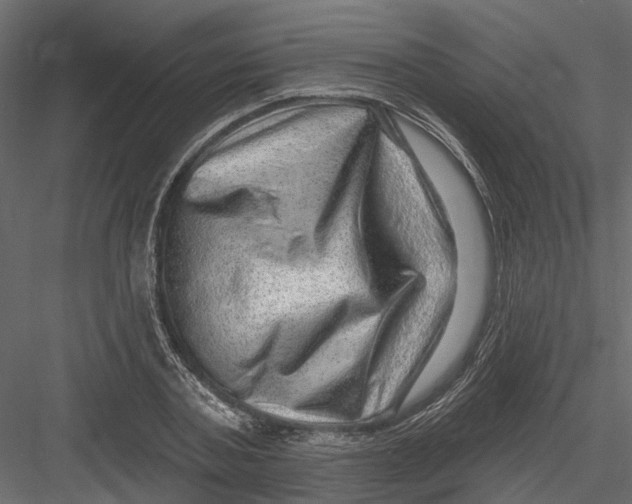 X0000082980787200702230032