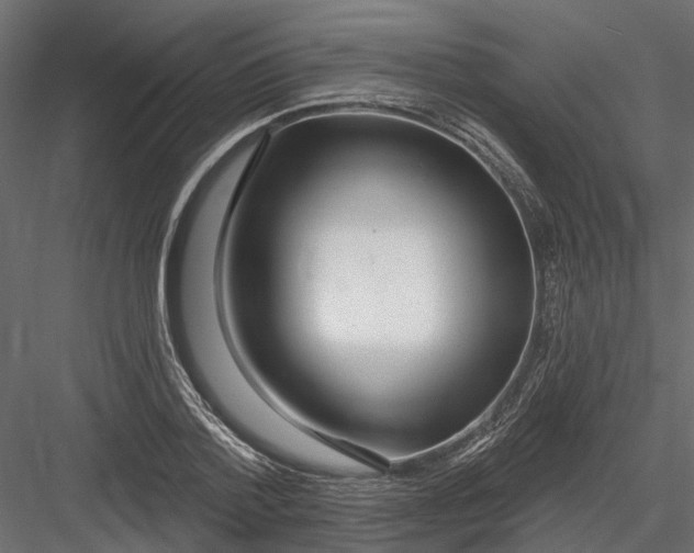 X0000082980788200702230032