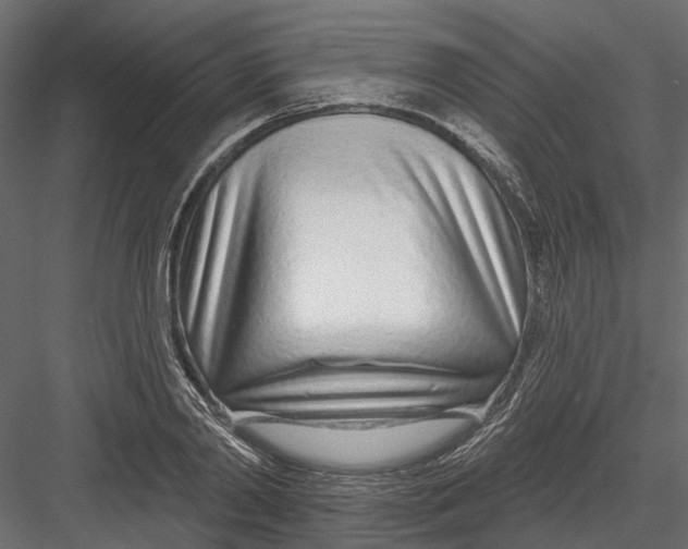 X0000082980790200702230032