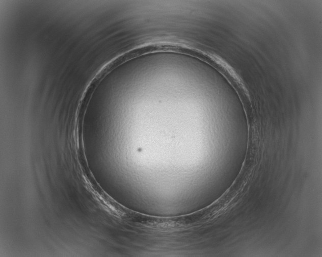 X0000082980791200702230032