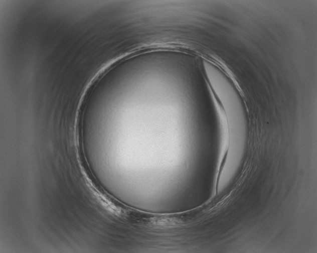 X0000082980795200702230032