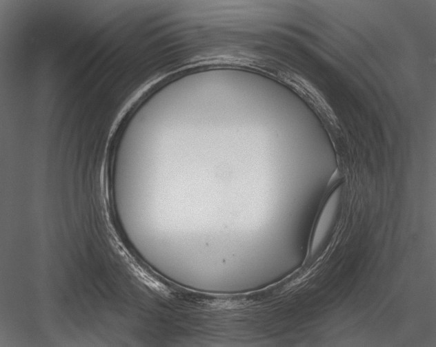 X0000082980796200702230032
