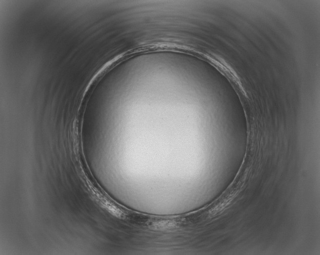 X0000082980798200702230032