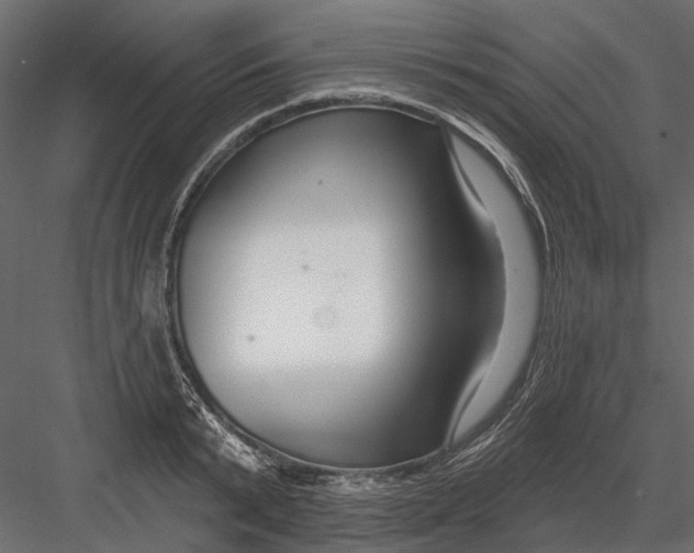 X0000082980799200702230032