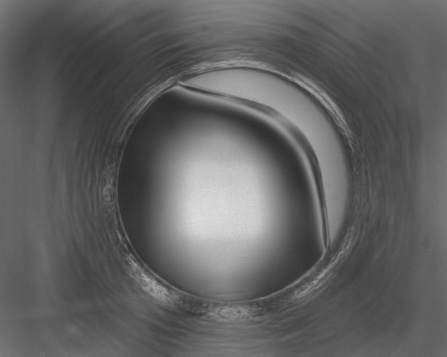 X0000082980801200702230032