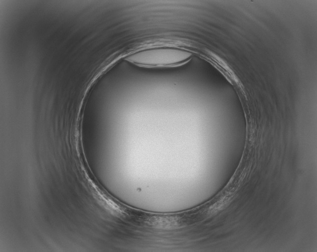 X0000082980802200702230032