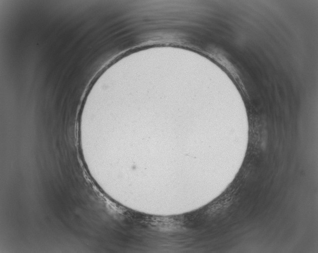 X0000082980807200702230032