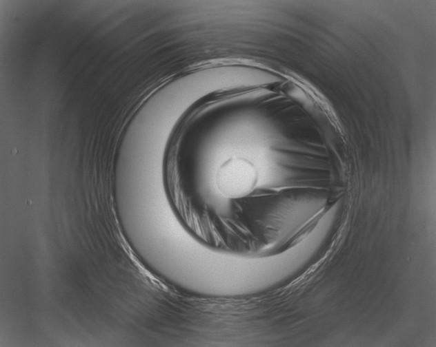 X0000082980809200702230032