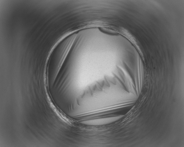 X0000082980811200702230032