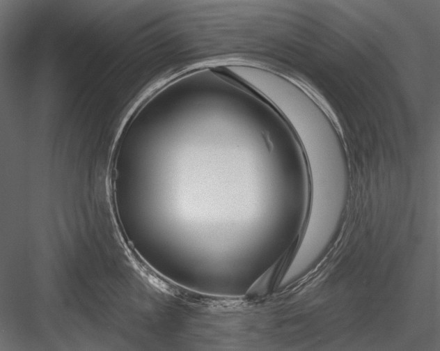 X0000082980813200702230032