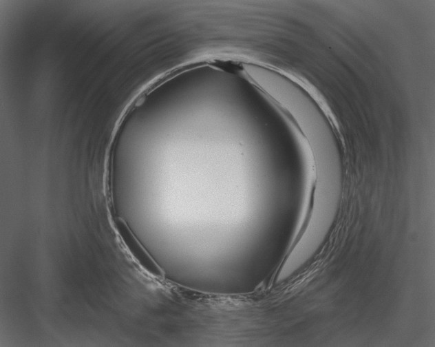 X0000082980815200702230032