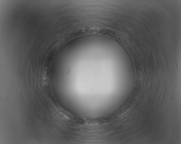X0000082980818200702230031