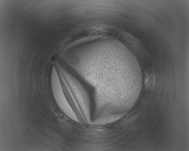 X0000082980819200702230031