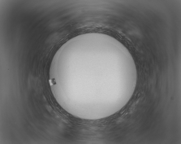 X0000082980820200702230031