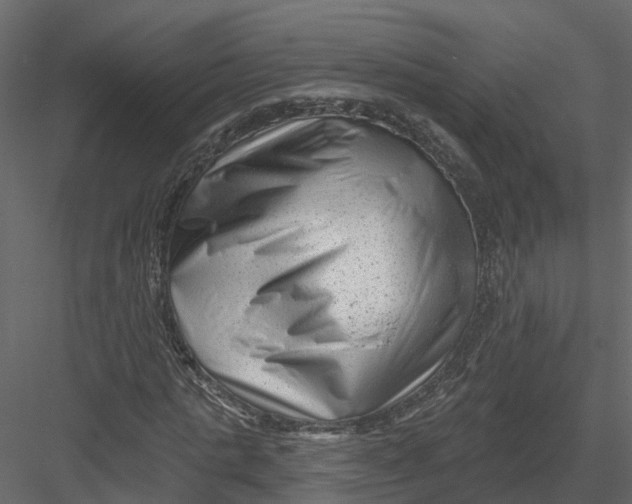X0000082980821200702230031