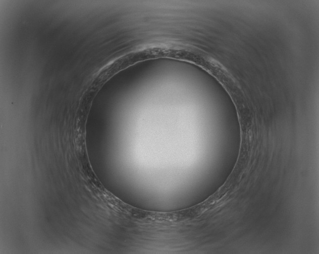 X0000082980822200702230031