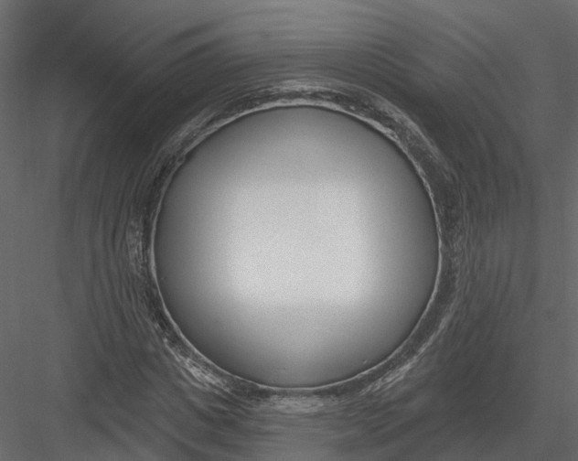 X0000082980825200702230031