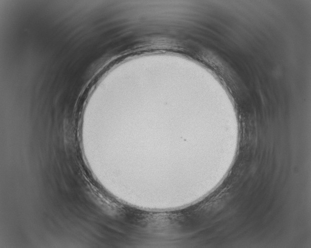 X0000082980828200702230031